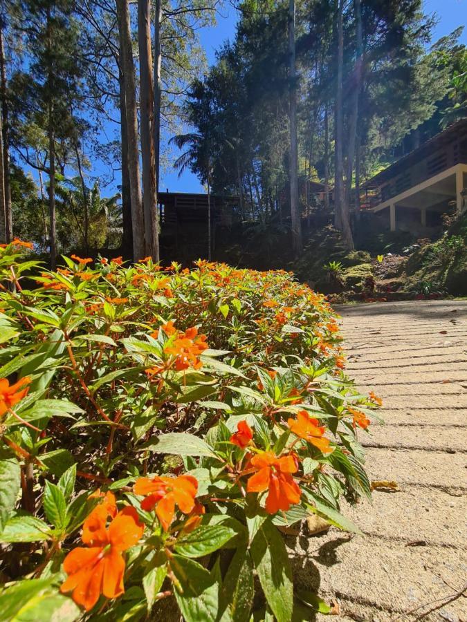 Recanto Dos Sonhos Guest House Lumiar Bagian luar foto